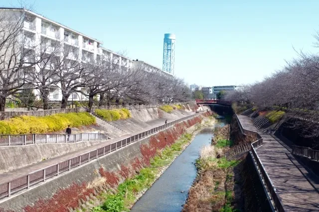 Pemandangan kota Tokyo dengan gedung-gedung apartemen.