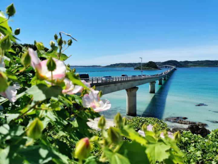 Pemandangan laut biru yang jernih di Okinawa.