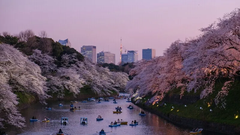 Festival musim panas di Jepang dengan kembang api